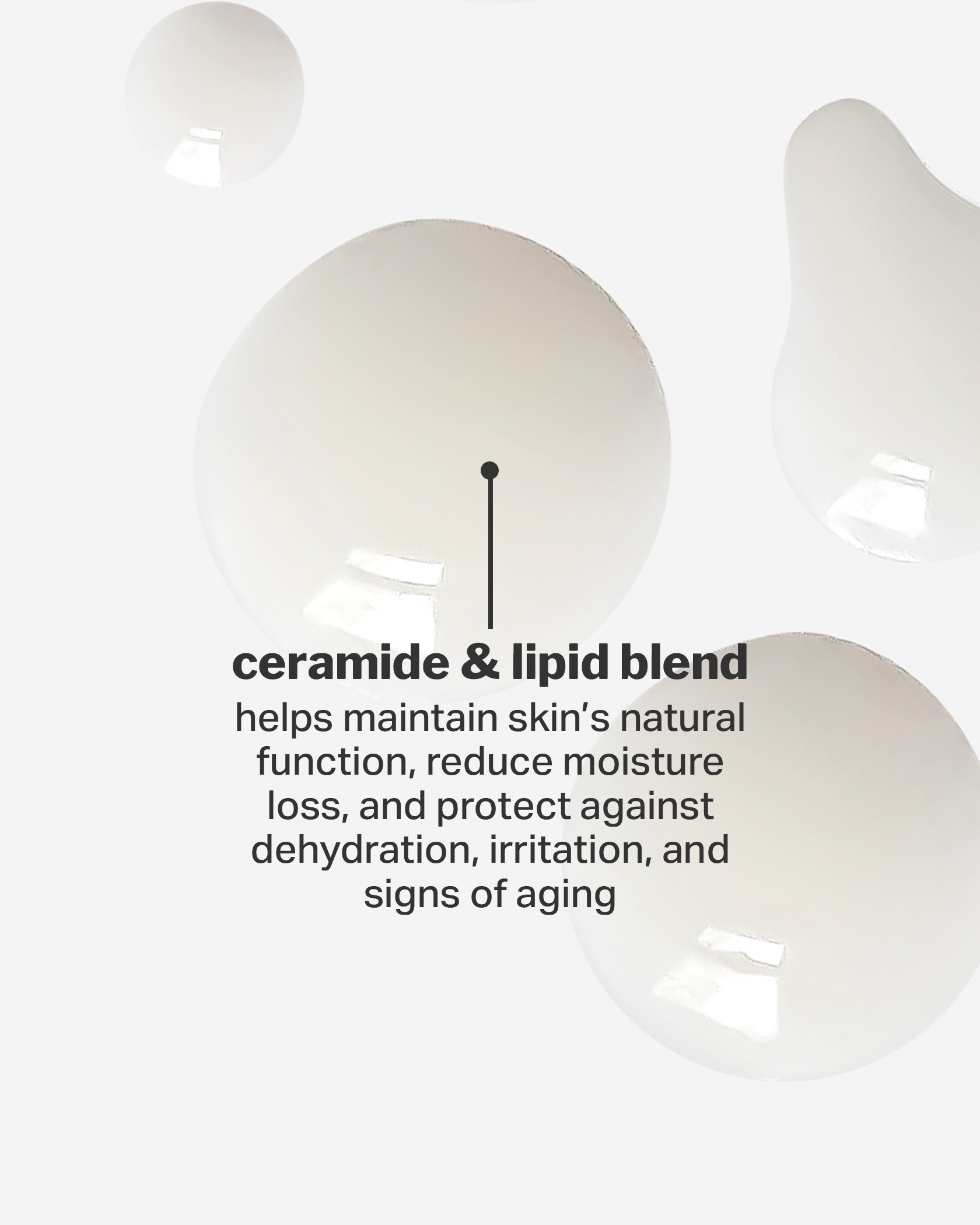 s5_842fa222-10d5-4aee-a533-98d45bdc054a.png